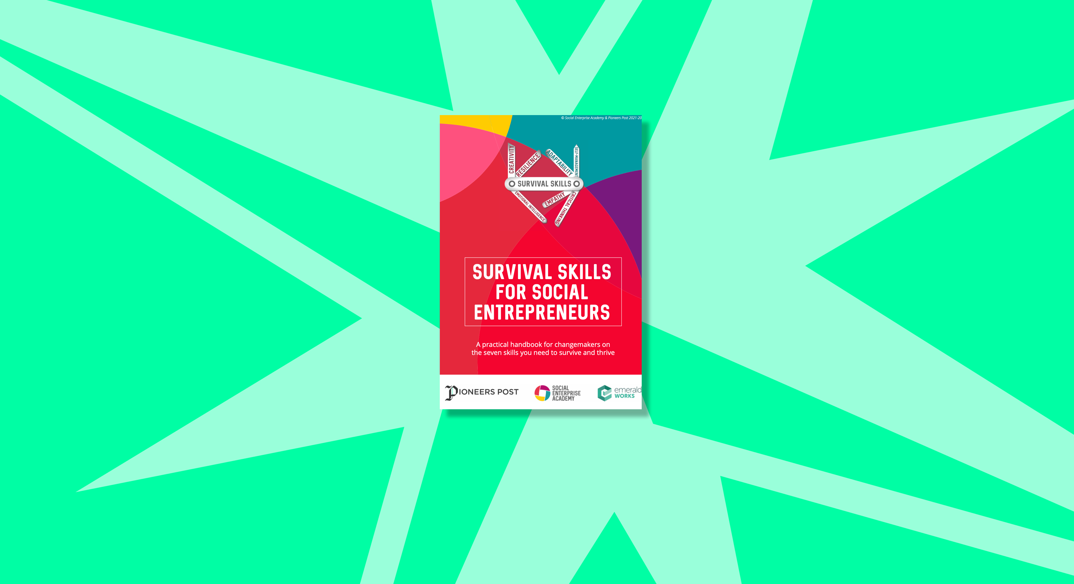 survival-skills-for-social-entrepreneurs-a-handbook-for-changemakers